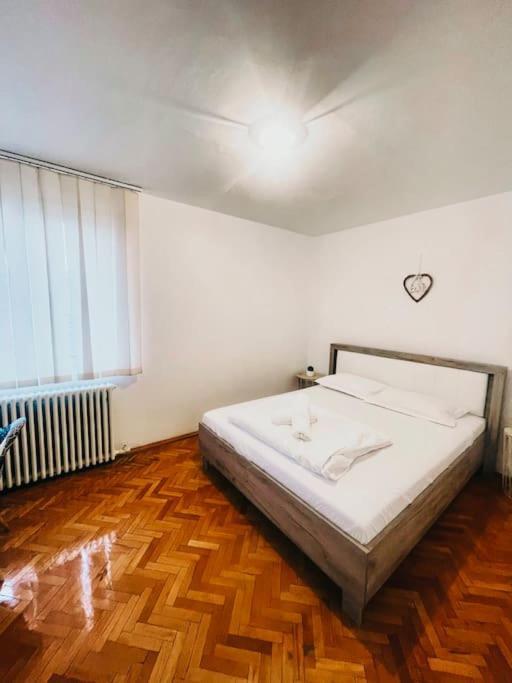 Ultracentral Big Flat Near The Opera Square P17 Timişoara Buitenkant foto