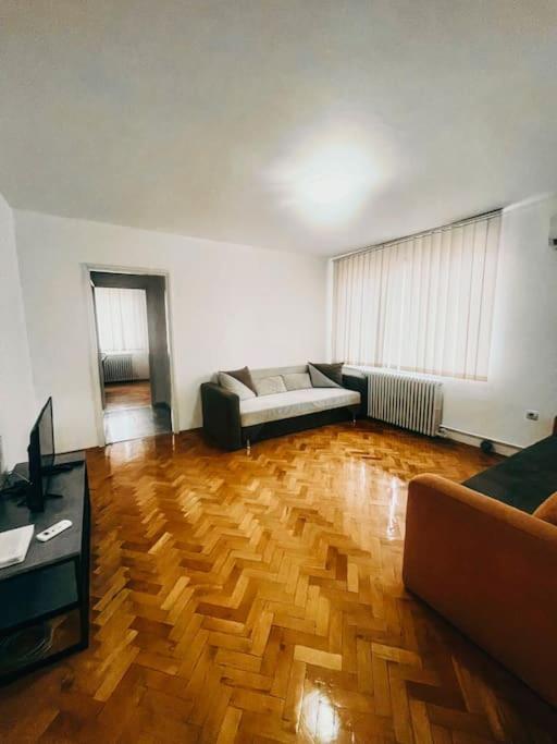 Ultracentral Big Flat Near The Opera Square P17 Timişoara Buitenkant foto
