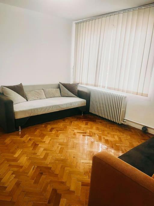 Ultracentral Big Flat Near The Opera Square P17 Timişoara Buitenkant foto