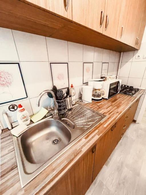 Ultracentral Big Flat Near The Opera Square P17 Timişoara Buitenkant foto