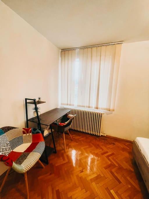 Ultracentral Big Flat Near The Opera Square P17 Timişoara Buitenkant foto